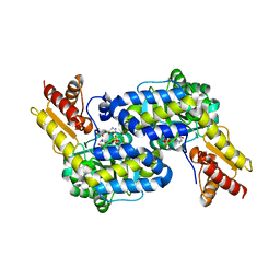 BU of 6c9b by Molmil