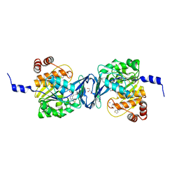 BU of 6c9r by Molmil