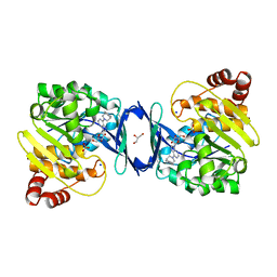 BU of 6c9v by Molmil