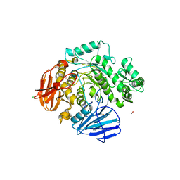 BU of 6c9x by Molmil