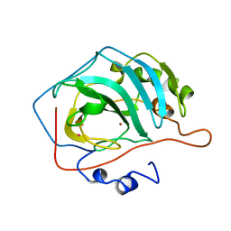 BU of 6ca2 by Molmil