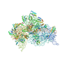 BU of 6cas by Molmil