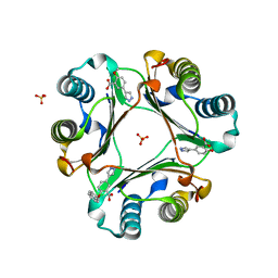 BU of 6cb5 by Molmil