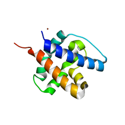 BU of 6cb7 by Molmil