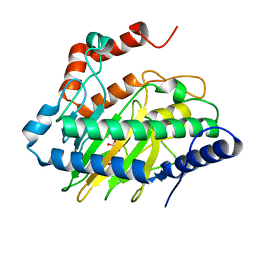 BU of 6cba by Molmil