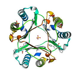 BU of 6cbf by Molmil