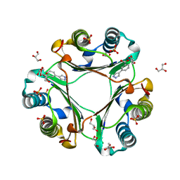 BU of 6cbg by Molmil