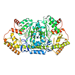 BU of 6cbl by Molmil