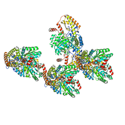 AU of 6cbl by Molmil