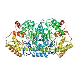 BU of 6cbo by Molmil