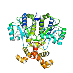 BU of 6cbq by Molmil