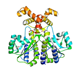 BU of 6cc0 by Molmil