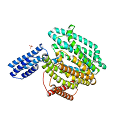 AU of 6cc4 by Molmil