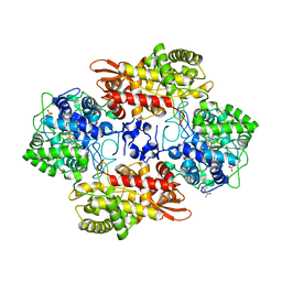 BU of 6cc6 by Molmil