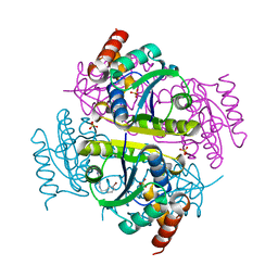 BU of 6ccm by Molmil