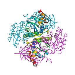 BU of 6ccn by Molmil