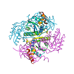 BU of 6ccq by Molmil