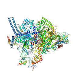 BU of 6ccv by Molmil