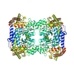 BU of 6cd1 by Molmil