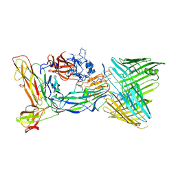 BU of 6cd2 by Molmil