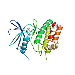 BU of 6cd6 by Molmil