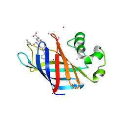 BU of 6cd8 by Molmil