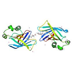 AU of 6cd8 by Molmil