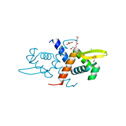 BU of 6cda by Molmil