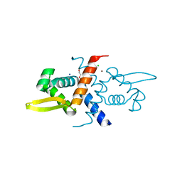 BU of 6cdb by Molmil