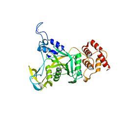 BU of 6cdd by Molmil