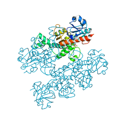 BU of 6cdf by Molmil