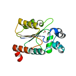 BU of 6cdw by Molmil