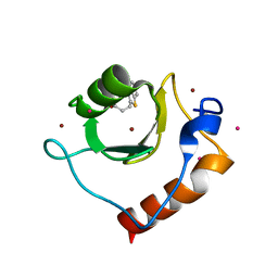 BU of 6cef by Molmil