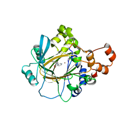 BU of 6cg1 by Molmil