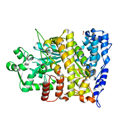 BU of 6cgm by Molmil