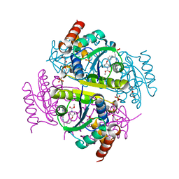 BU of 6chn by Molmil