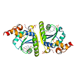 AU of 6chp by Molmil