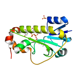 BU of 6ci5 by Molmil