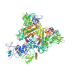 BU of 6cim by Molmil