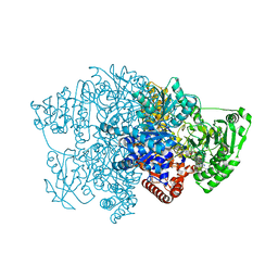 BU of 6ciq by Molmil