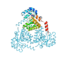 BU of 6cj4 by Molmil