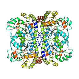 BU of 6cja by Molmil