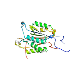 BU of 6cl0 by Molmil