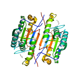 BU of 6cl1 by Molmil