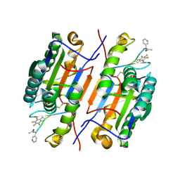 BU of 6cl2 by Molmil