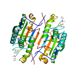 AU of 6cl2 by Molmil