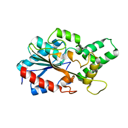 AU of 6cl4 by Molmil