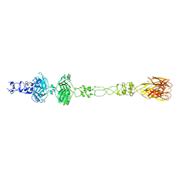 BU of 6cl5 by Molmil