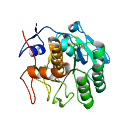 BU of 6clb by Molmil