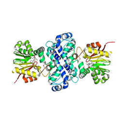 BU of 6clx by Molmil